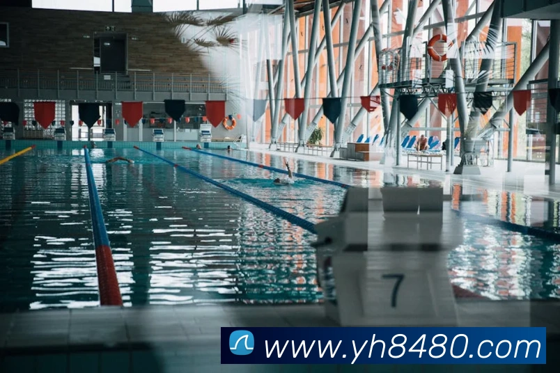 多媒体互动体验